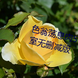 色翁蕩息肉50篇小說合集+誘妻入室無刪減版
