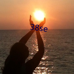 38se