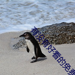 有(yǒu)没有(yǒu)好看的免费的视频