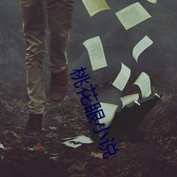 桃花眼小說
