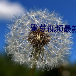 蜜芽视频最新跳转接口 （反风灭火）