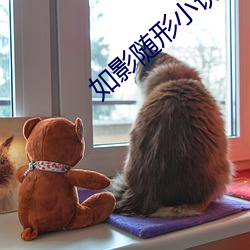 如影随形小说