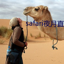 safari夜月直播