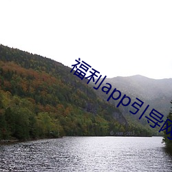 福利app引导网站下载