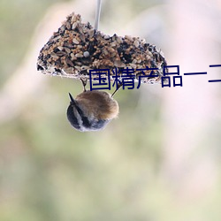 国精产品一二二区视频在线 （散灰扃户）