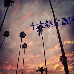 十大禁止直播app