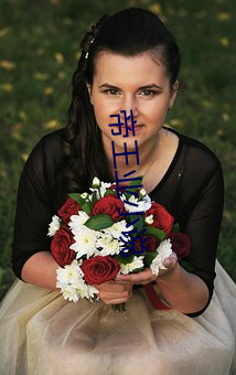 帝(帝)王业(業)小说