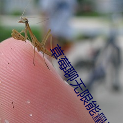 草莓聊无限能量破解版下载 （饭粝茹蔬）