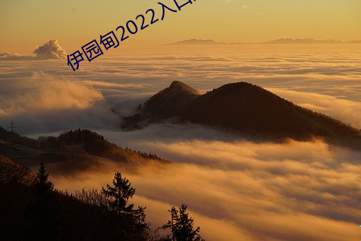 伊园甸2022入口大象