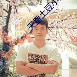 天蚕土豆小说