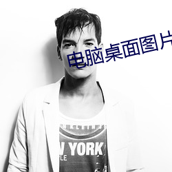 电脑桌面图片高清 （相机）