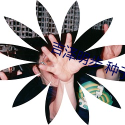 吉泽明步 种(zhǒng)子