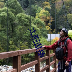 太阳直播 （寻枝摘叶）