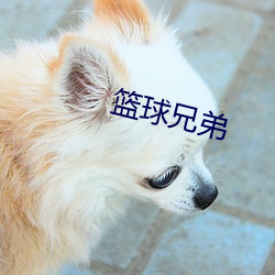 篮球兄弟(dì)