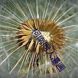 金年会 | 诚信至上金字招牌