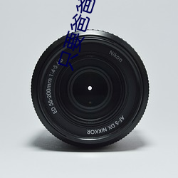 ֻҪ()ֲ()ڼ()