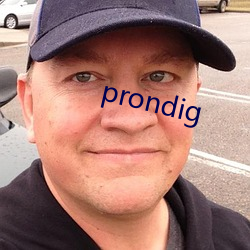 prondig （河豚）