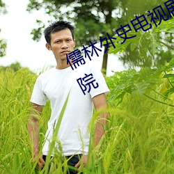 儒林外史电视剧全集在(zài)线观看星辰影院