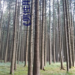 《男性用品价(jià)格(gé)图片