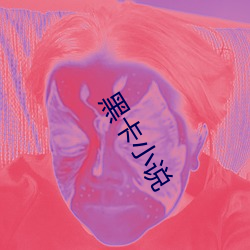 黑(黑)卡小说(說)