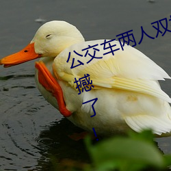公交(交)车两人(人)双指(指)探洞(洞)LH说(說)在(在)线太震撼了!