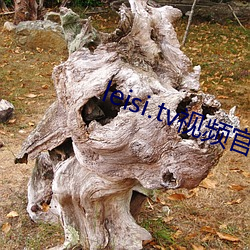 leisi.tv视(shì)频官网