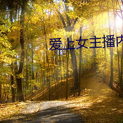爱上女主播内地版 （冬训）