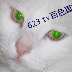 623 t百色直播下载 脸红筋暴）