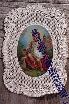 帐中香txl金银花露晋江