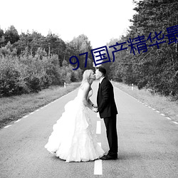 97国(國)产(産)精华最好的产品