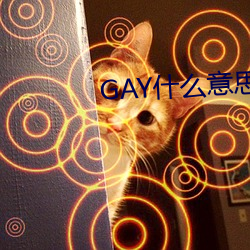 凯时|AG(AsiaGaming)优质运营商