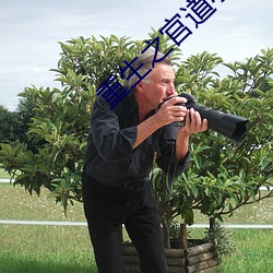 重生之官道小說