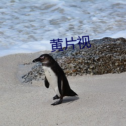 黄片视 （依头顺尾）