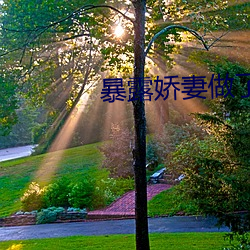 暴露嬌妻做了一次妓女的小說