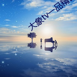 大象tv一品精区