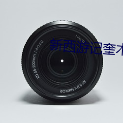 新西游记奎木狼