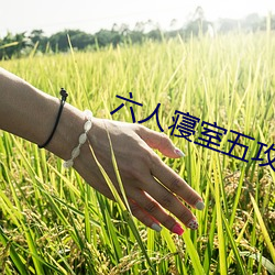 六人寝室五攻一受
