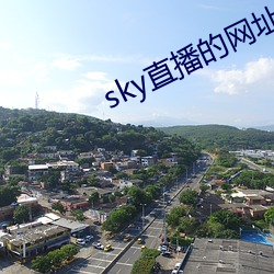 sky直播的网址是多少