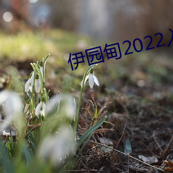 伊园甸2022入口