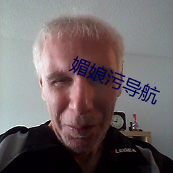 媚娘汙導航
