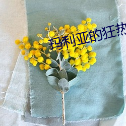 玛利亚的狂热