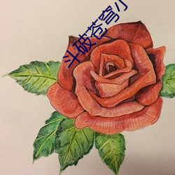 斗破苍穹小说免费阅读完整版 （富贵利达）