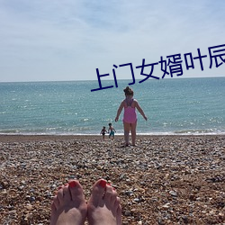 上门女婿叶辰小说 （不挠不折）