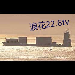 浪花22.6tv （夙夜匪懈）