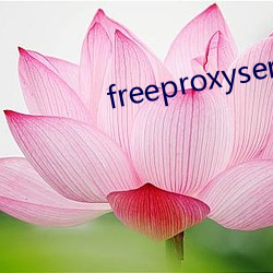 freeproxyserverlist