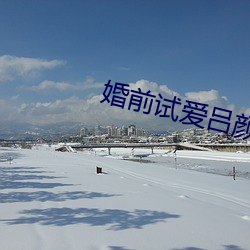 婚(hūn)前试爱(ài)吕颜