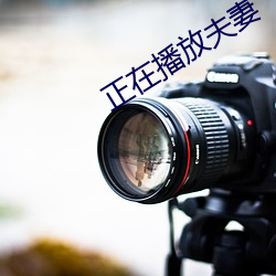 正(正)在播放夫妻(妻)
