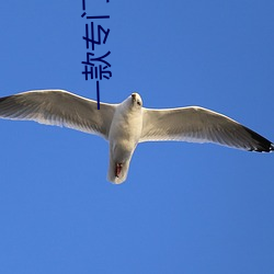 一款专门用来约的(de)app