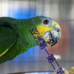 亚洲第一第二(èr)第三第四第五第(dì)六