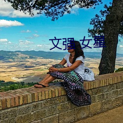 文强 女星